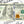 Benjamin Franklin